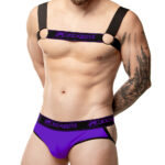 Kit Harness & Jockstrap – Roxo