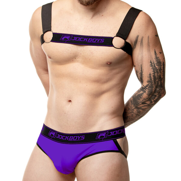 Kit Harness & Jockstrap – Roxo