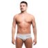 Sunga Classica Cinza Pastel